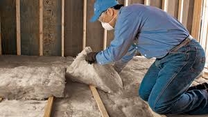 Best Wall Insulation Installation  in Decordova, TX