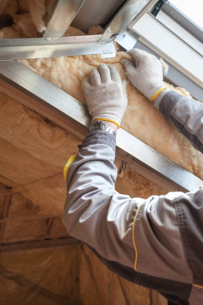 Trusted Decordova, TX Insulation Installation & Removal Experts